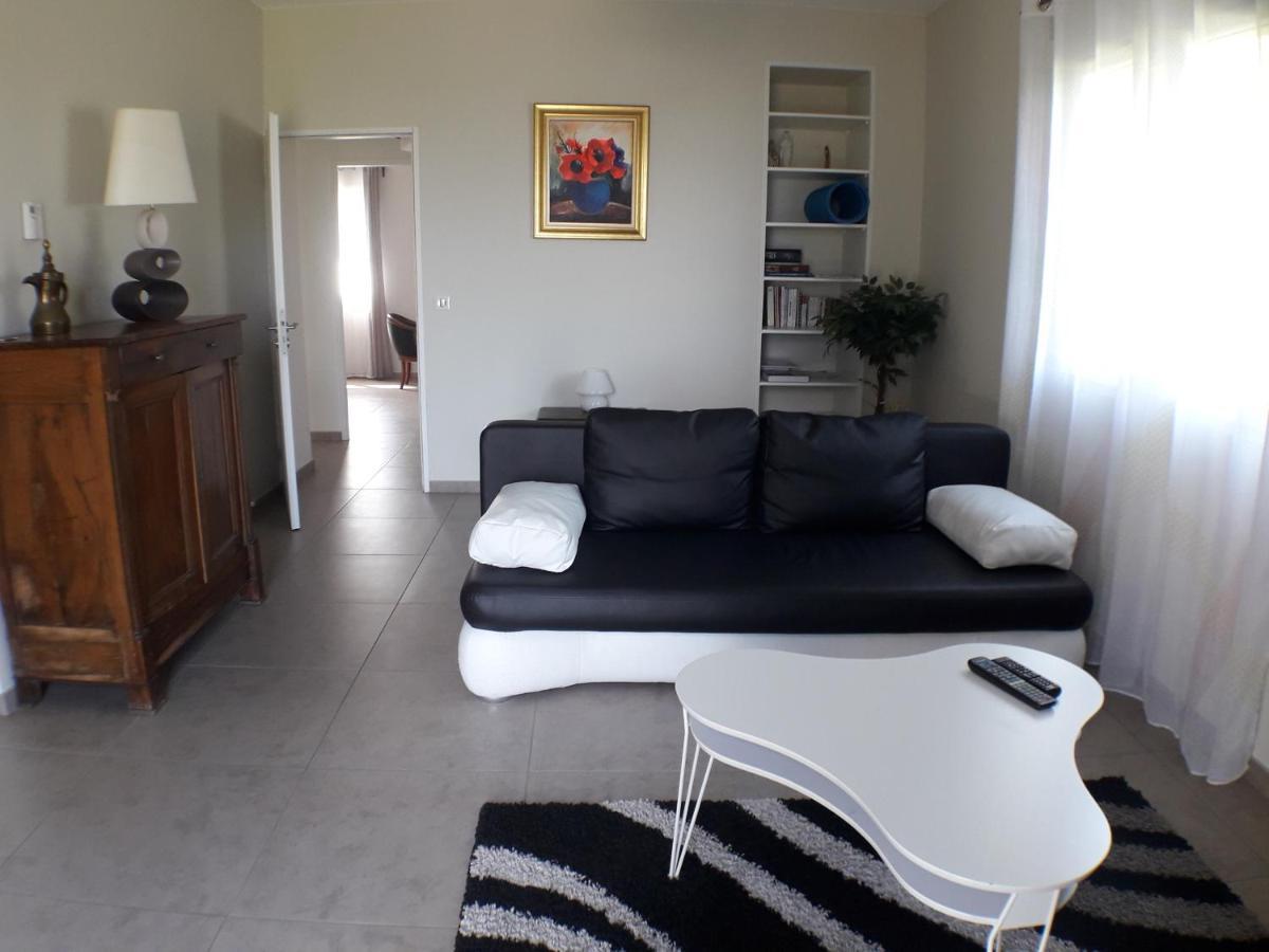 Saint-Martin-la-Plaine 170 M² Entre Lyon Et St Etienneヴィラ エクステリア 写真