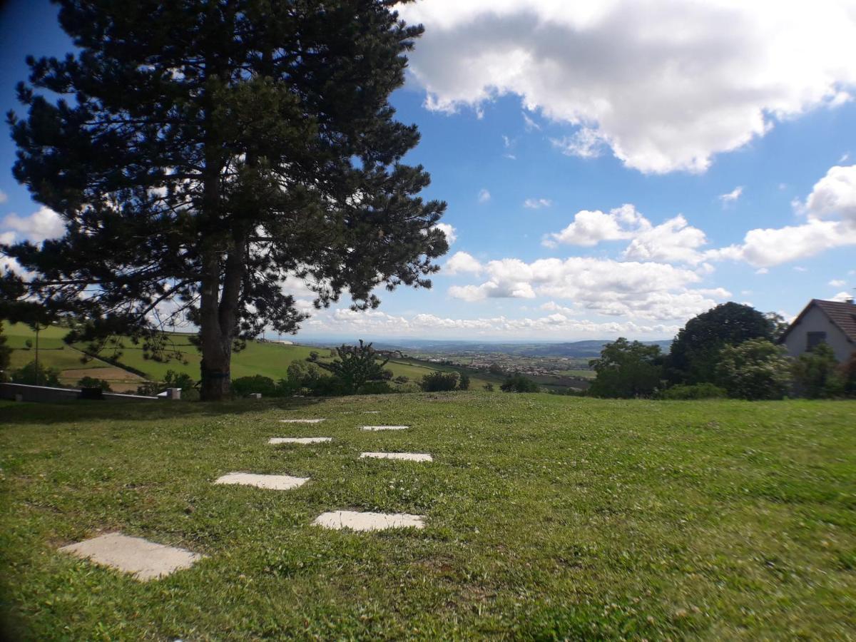 Saint-Martin-la-Plaine 170 M² Entre Lyon Et St Etienneヴィラ エクステリア 写真